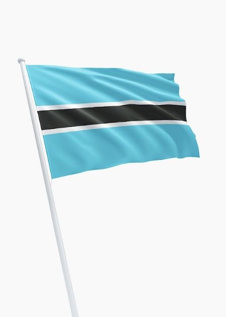 Vlag Botswana - 100x150cm Spun-Poly